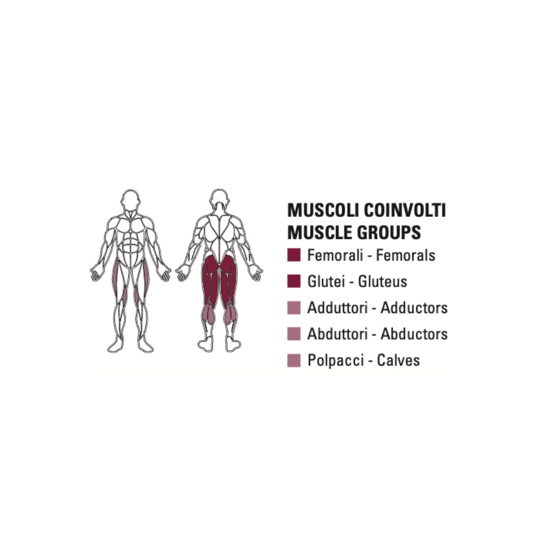 Toorx PLX 8850 Seated Leg Curl | Profesionalna sprava za izolirano jačanje zadnje lože i stabilnost koljena - Slika 5