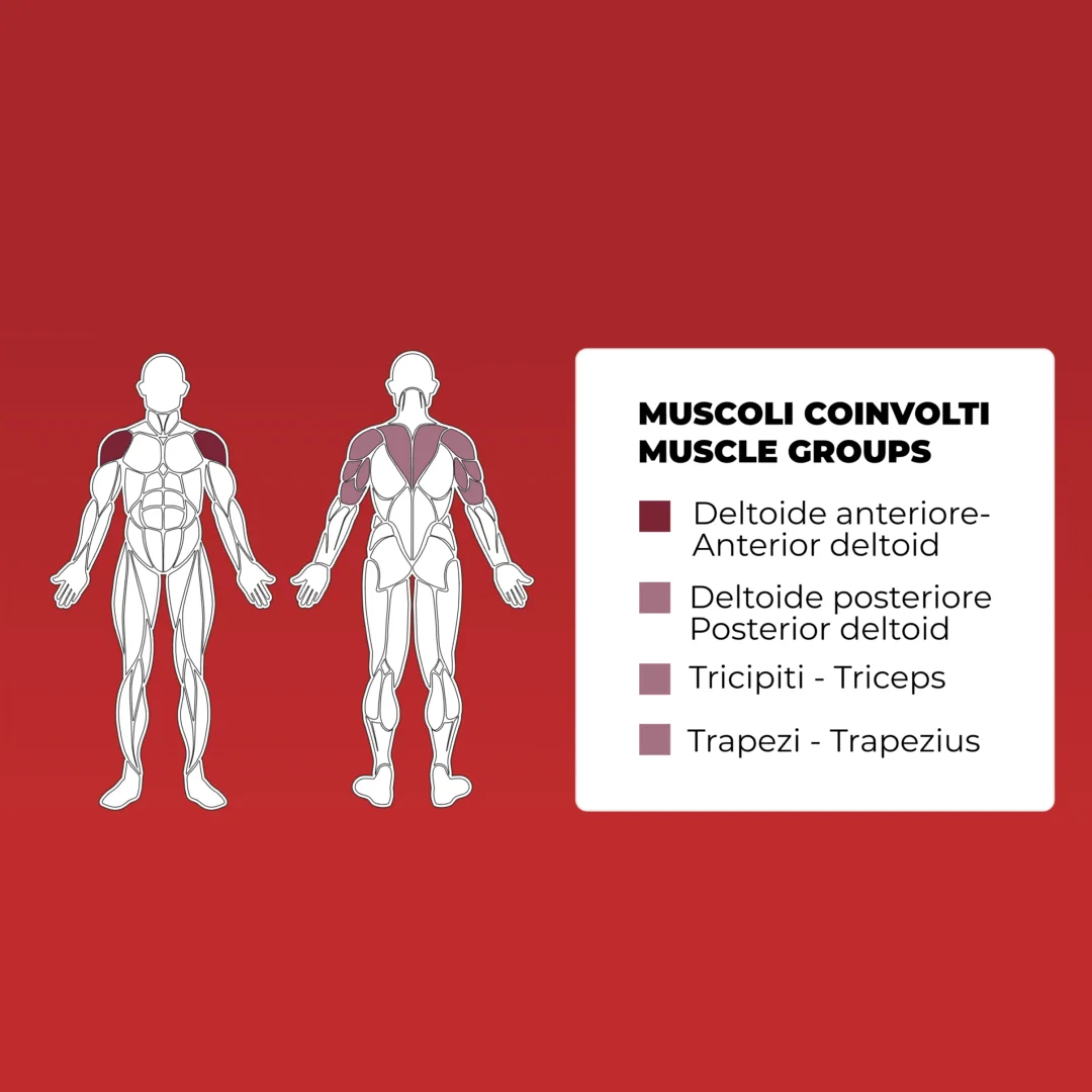 Toorx Professional FWX-8530 | Profesionalna sprava za veslanje s linearnim pokretom, nosivosti utega do 250 kg - Slika 2