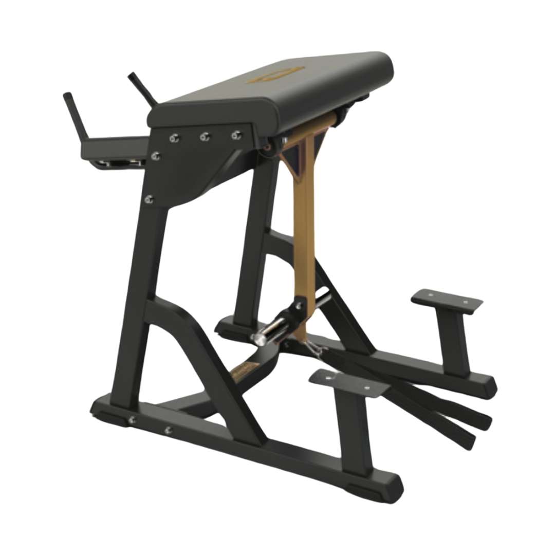 Toorx Professional FWX-10600 | Profesionalna Hyper Reverse sprava - Slika 3