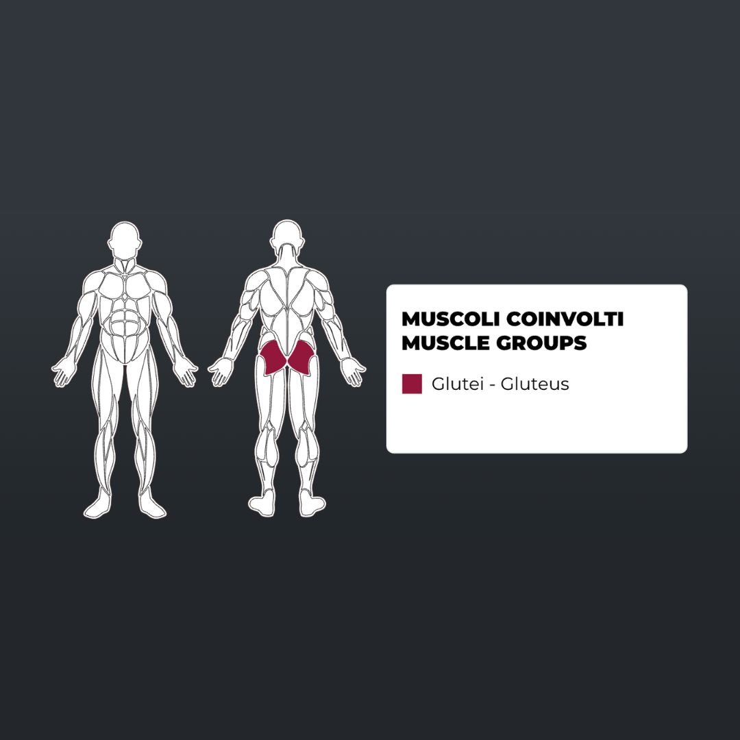 Toorx Vertical FWX-4600 Gluteus | 200 kg | 134 kg | profesionalna moč brez odvečnih kompromisov - Slika 2