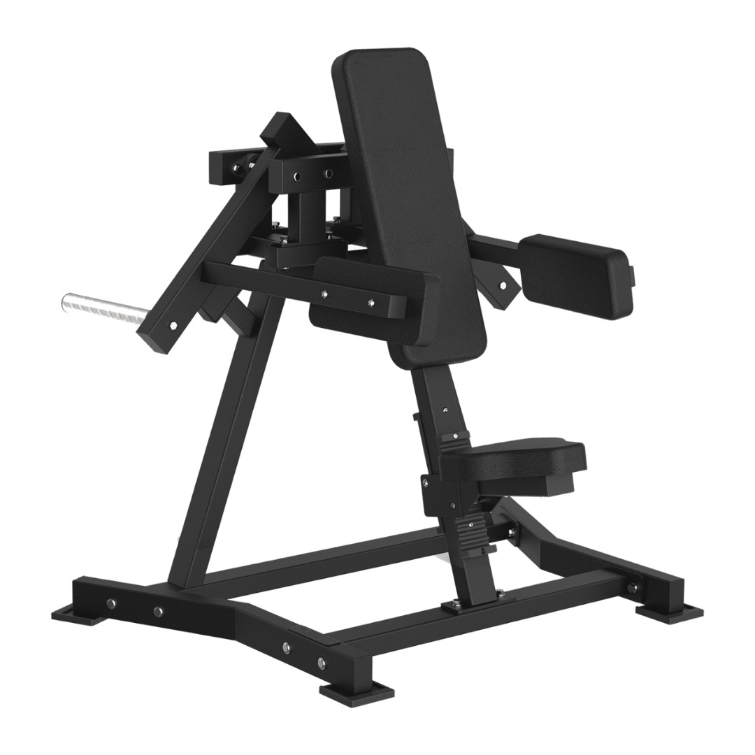 Toorx Professional FWX-6500 | Profesionalna Lateral Raise sprava