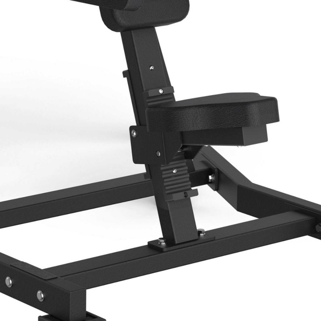Toorx Professional FWX-6500 | Profesionalna Lateral Raise sprava - Slika 2
