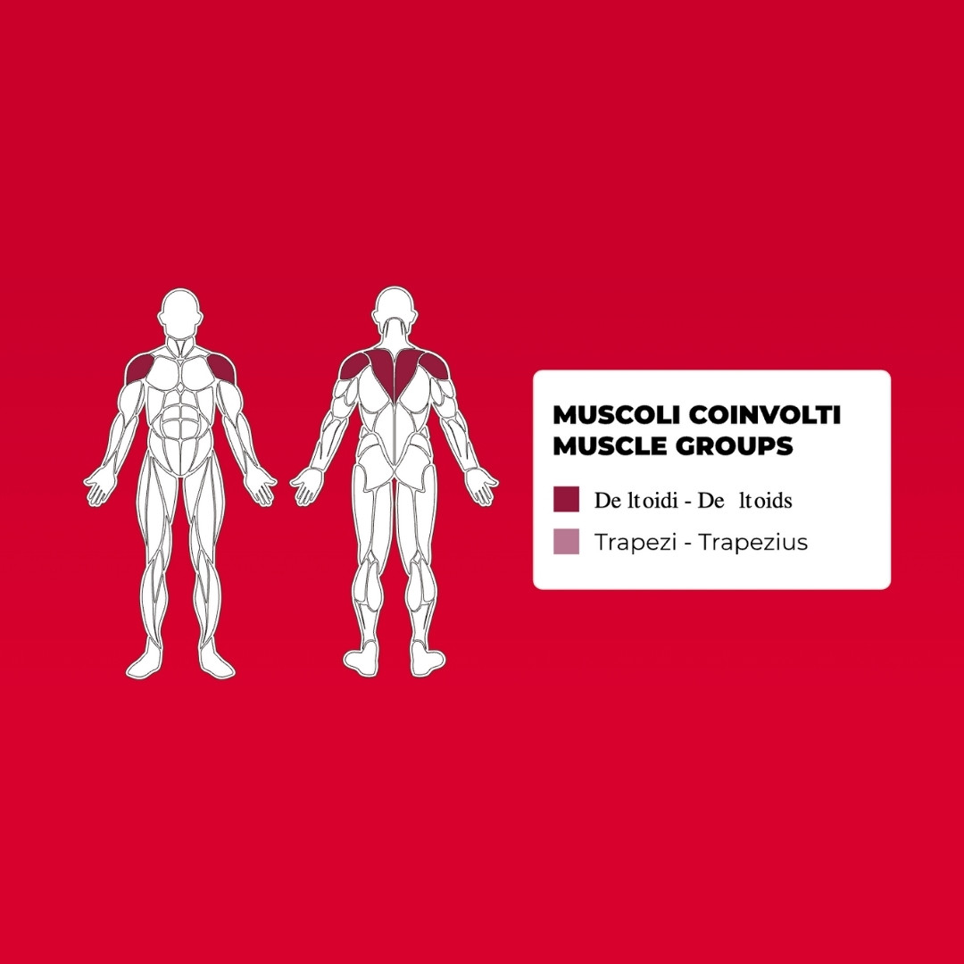 Toorx Professional FWX-6500 | Profesionalna Lateral Raise sprava - Slika 4
