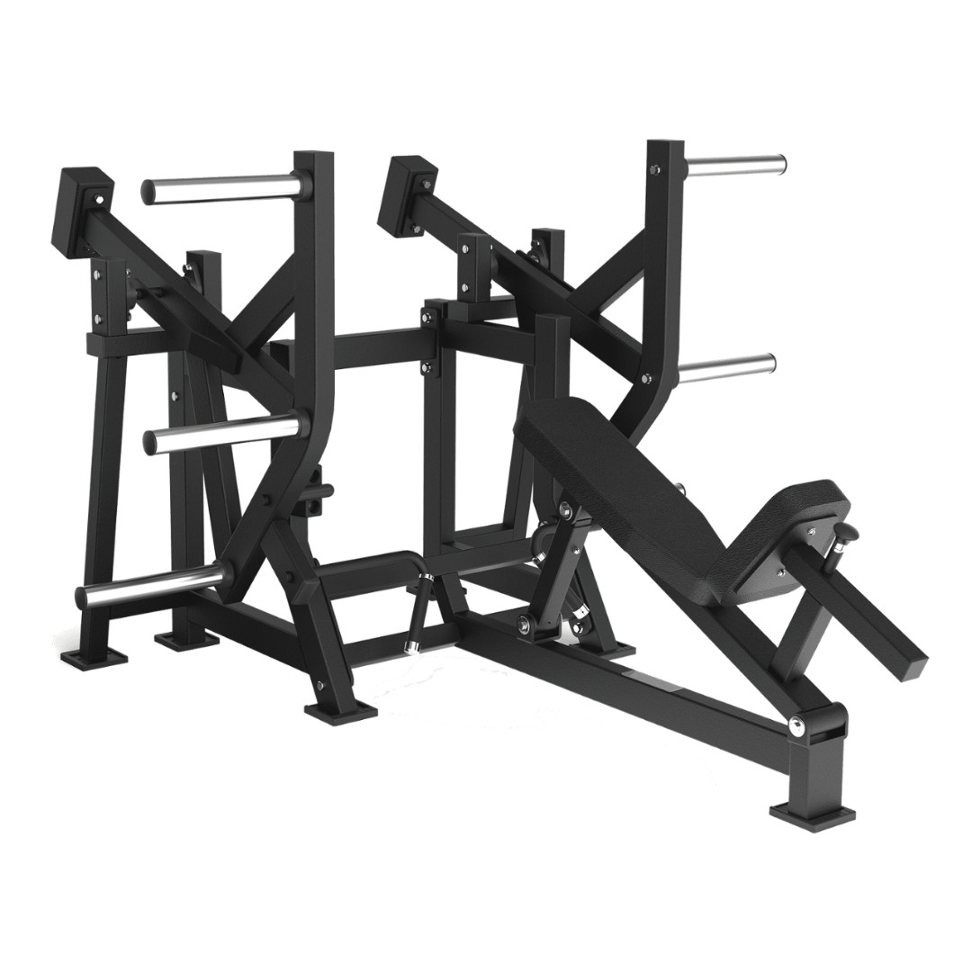 Toorx Professional FWX-6900 | Profesionalna Lower Back sprava