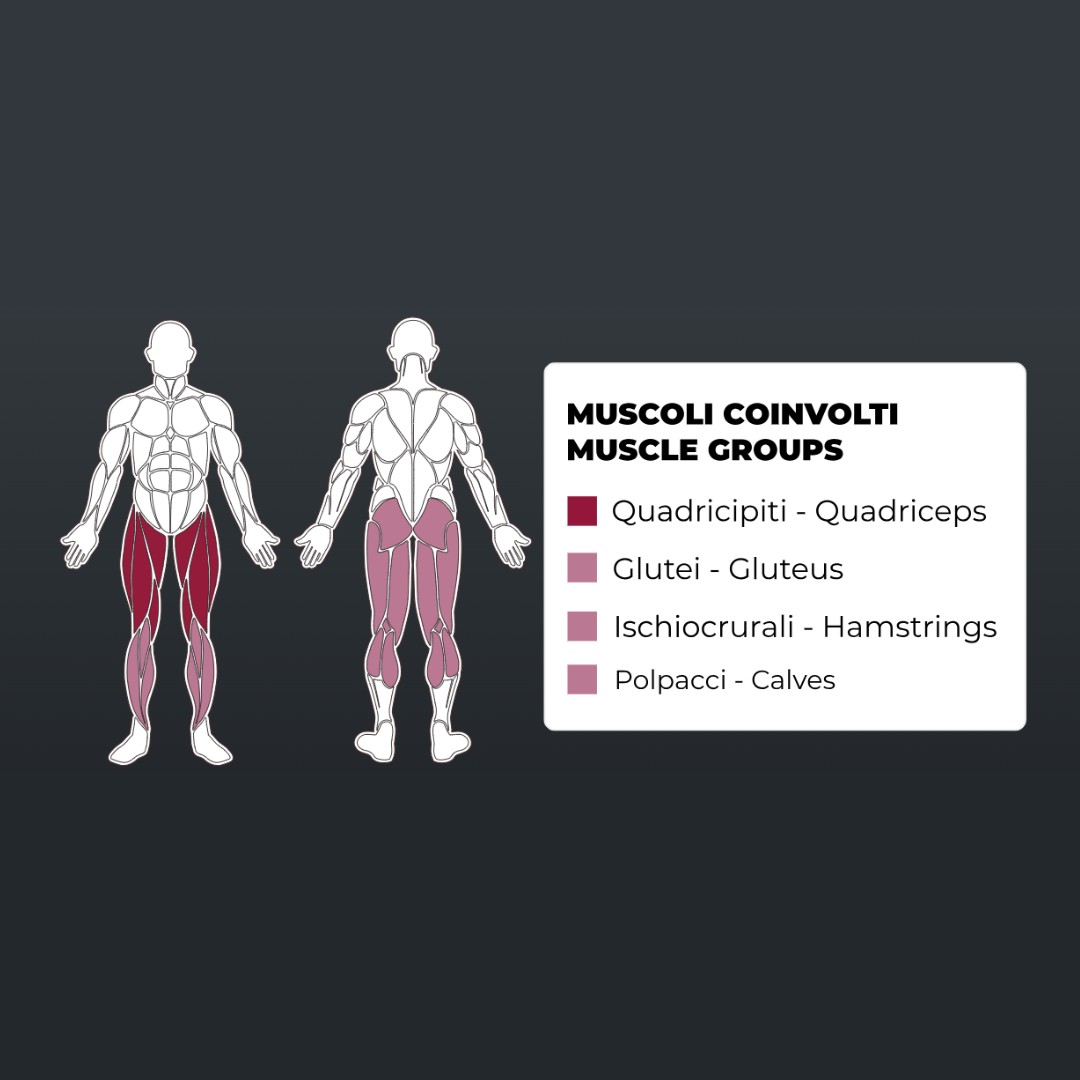 Toorx Vertical HSX-3000 Leg Press / Hack Squat | 500 kg ukupno (korisnik + utezi) | 140.7 kg | Leg Press i Hack Squat u jednoj spravi - Slika 2