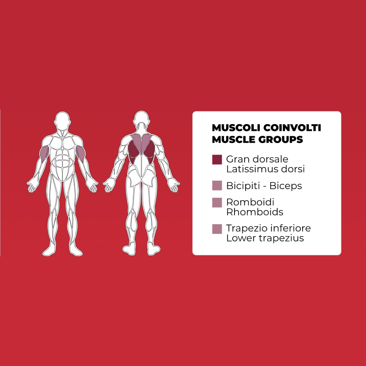 Toorx Professional PLX-8300 | Profesionalna Lat Machine sprava - Slika 2