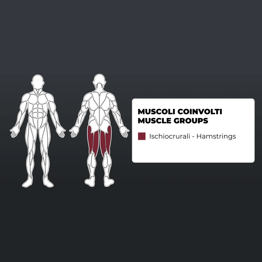Toorx Vertical PLX-4300 Prone Leg Curl | 80 kg | 205 kg | profesionalna kontrola pokreta - Slika 2