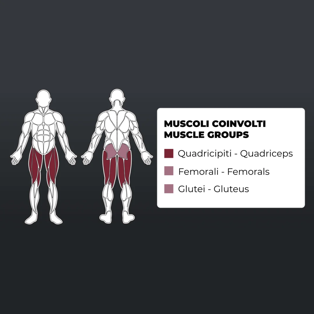 Toorx Vertical PLX-5650 Leg Extension / Seated Leg Curl | 100 kg | 239 kg | više funkcija na manje prostora - Slika 2
