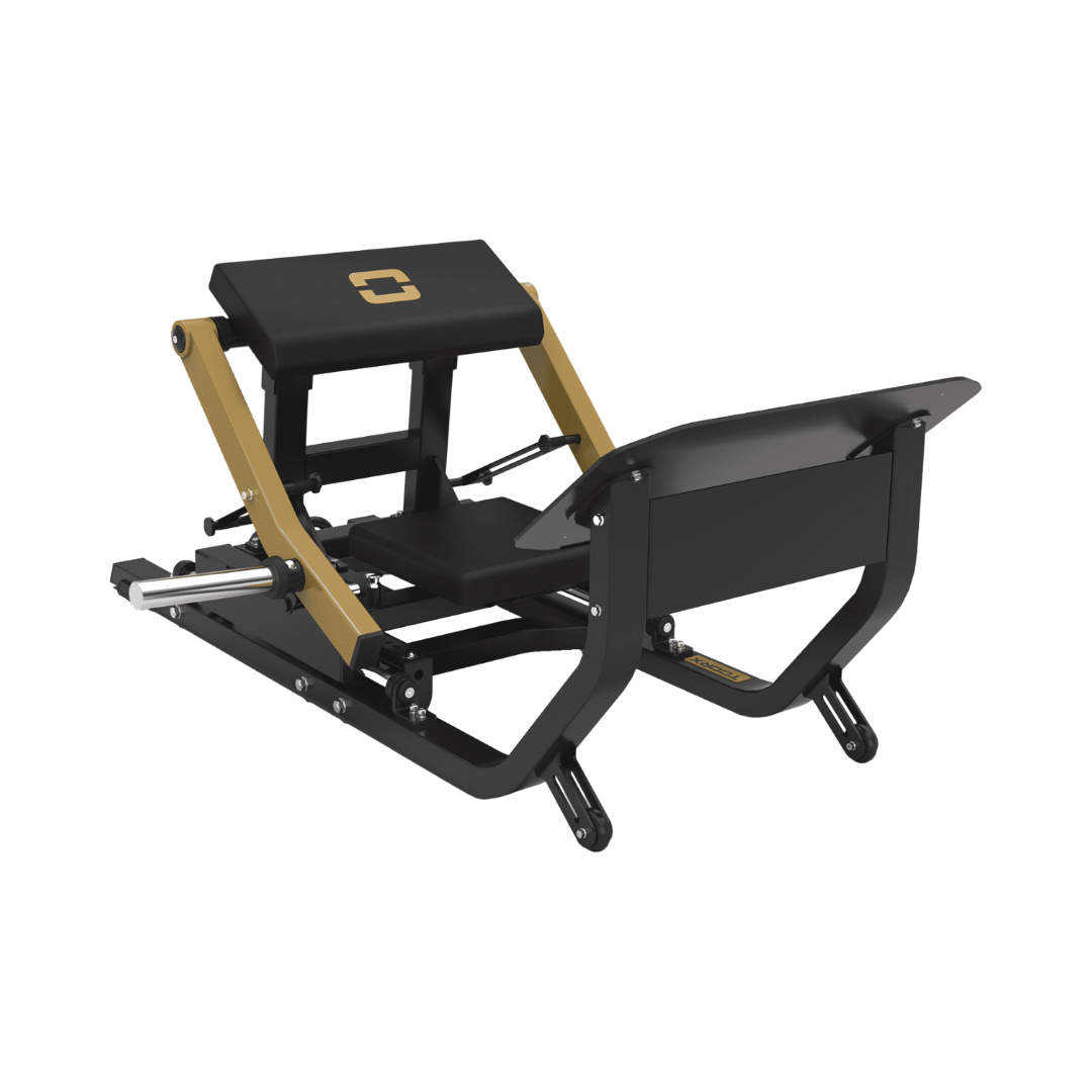 Toorx Professional FWX-10300 | Profesionalna Hip Thrust sprava