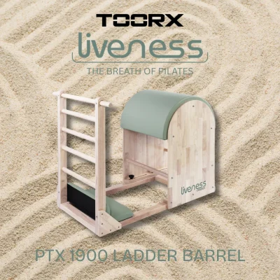 TOORX-PTX-1900-LADDER-BARREL