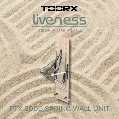 Toorx-PTX-2000-Spring-Wall-Unit